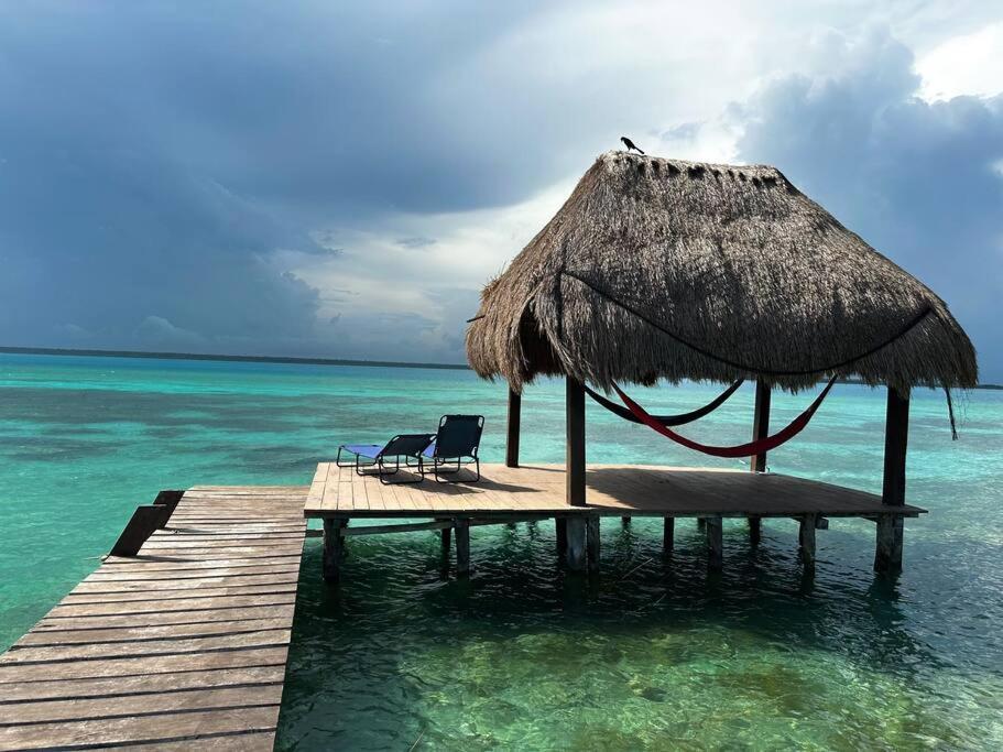 Luigi'S Glamping Apartment Bacalar Exterior photo