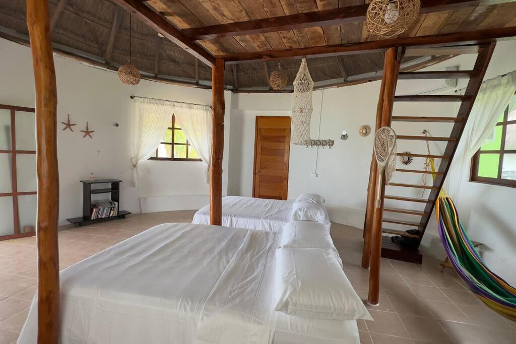 Luigi'S Glamping Apartment Bacalar Exterior photo