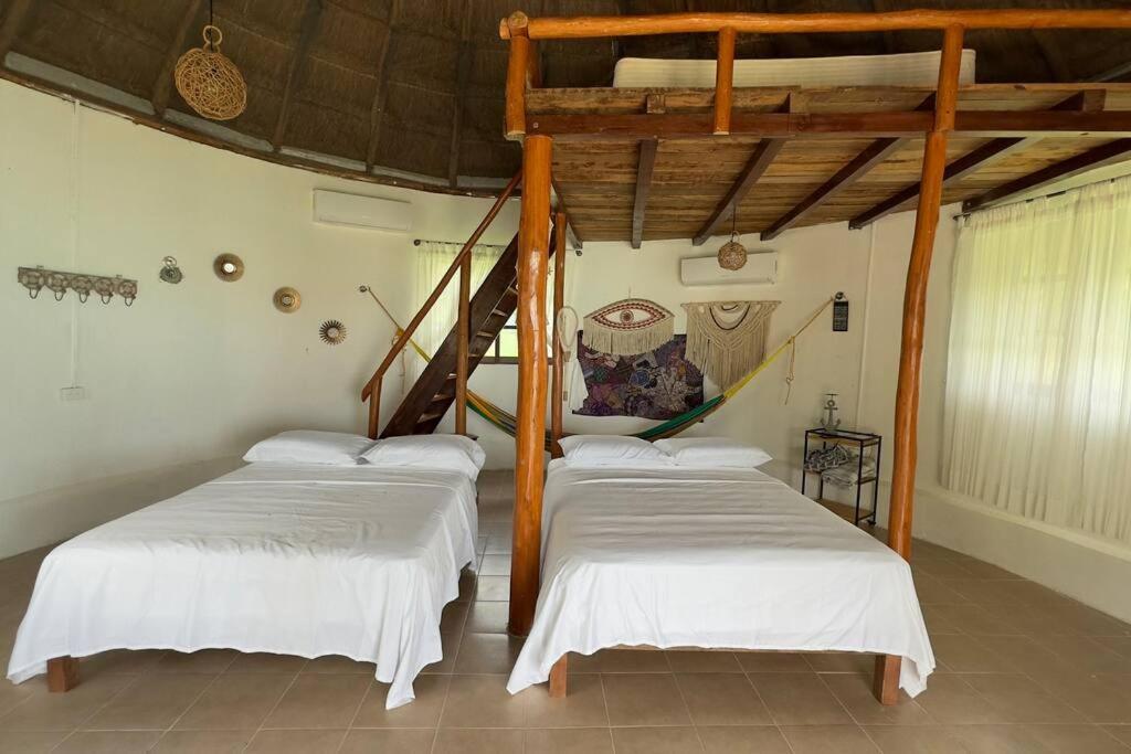 Luigi'S Glamping Apartment Bacalar Exterior photo